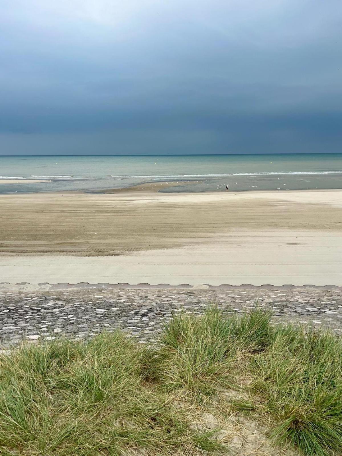 L Oree De La Pinede Hardelot Plage A 800 Metres De La Mer Sous Les Pins Exterior foto